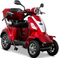 Rolektro Elektromobil Rolektro E-Quad 25 V.2, Blei-Gel-Akku, 1000 W, 25 km/h,...