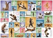 EUROGRAPHICS Puzzle Eurographics 6000-0953 - Yoga Katzen, Puzzle, 1.000 Teile,
