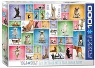 EUROGRAPHICS Puzzle Yoga Hunde, 1000 Puzzleteile