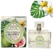 Nesti Dante Eau de Parfum Signoria 100 ml