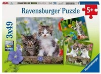 Ravensburger Puzzle S&uuml;&szlig;e Samtpf&ouml;tchen - Puzzle 3 x 49 Teile, 49 Puzzleteile