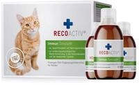 RECOACTIV Immun Tonicum, Erg&auml;nzungsfuttermittel f&uuml;r: Katze
