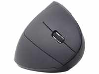 Gembird GEMBIRD Maus OPT ergonomisch wireless 6-Tasten schwarz Maus