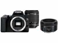 Canon EOS 250D + EF-S 18-55mm IS + EF 50mm 1,8 STM Spiegelreflexkamera