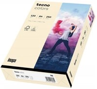 Inapa tecno Druckerpapier Rainbow / tecno Colors, Pastellfarben, Format DIN A4,...