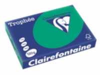 Clairefontaine Trophee Papier, A4, 120g/qm, grün (1224C)