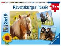 Ravensburger Liebe Pferde