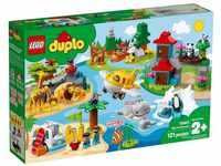 LEGO Duplo - Tiere der Welt (10907)