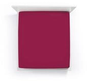 Formesse Spannbettlaken Bella Donna Jersey Spannbetttuch 180x190 - 200x220 cm,