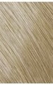 Goldwell Haarfarbe Goldwell Topchic Hair Color Bus 10A 250ml