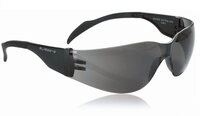 SwissEye Sonnenbrille Sportbrille Outbreak S Fassung black Scheibe smoke