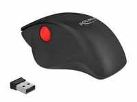 Delock Ergonomische USB Maus - kabellos Maus