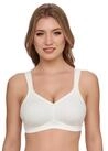 Susa Minimizer-BH London vorgeformte Cups, Spitze, blickdicht, elastisch