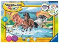 Ravensburger Verlag GmbH Spiel CreArt, Malen nach Zahlen Kinder - Stolze...