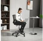 Vinsetto B&uuml;rostuhl Arbeitsstuhl Ergonomischer Drehstuhl B&uuml;rostuhl (ergonomischer