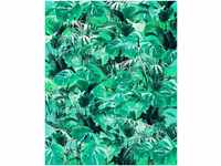 Komar Pure Evergreen 200 x 250 cm