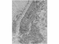 Komar Pure NYC Map 200 x 250 cm