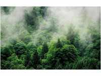 Komar Pure Forest Land 400 x 250 cm