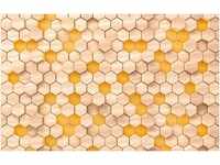 Komar Woodcomb Birch 400 x 250 cm