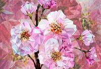 Komar Vliestapete Vlies - Blooming Gems - Gr&ouml;&szlig;e 368 x 248 cm, glatt, bedruckt,