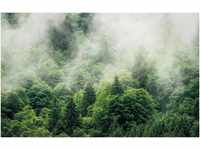 Komar Vliestapete Forest Land, (1 St), 400x250 cm (Breite x Höhe),...