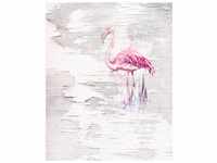 Komar Vliestapete Pink Flamingo, (1 St), 200x250 cm (Breite x Höhe),...
