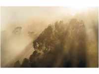 Komar Vliestapete Misty Mountain, (1 St), 400x250 cm (Breite x Höhe),...