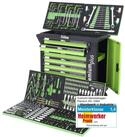 TRUTZHOLM Werkstattwagen Premium best&uuml;ckt 254tlg. Chrom Werkzeug Softclose