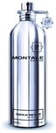 MONTALE Eau de Parfum Montale Paris Fruits of the Musk EDP 100 ml, 1-tlg.