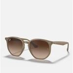 Ray-Ban Sonnenbrille Ray-Ban RB4306 Black Dark Green