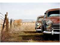 Papermoon Fototapete Vintage Rusting Cars, glatt
