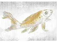 Komar Golden Koi gold/grau/weiß 400 x 280 cm