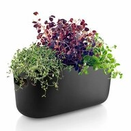 Eva Solo Kr&auml;utertopf Selbstbew&auml;ssernder Herb-Organiser Schwarz