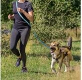 TRIXIE Joggingleine Joggingleine - petrol/aqua - 1,33&ndash;1,80 m/20 mm