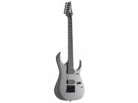 Ibanez E-Gitarre, Axion Label RGD61ALET-MGM Metallic Gray Matte - E-Gitarre
