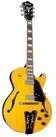 Ibanez Halbakustik-Gitarre, Halb-Akustik Gitarren, Hollow-Body Modelle, George Benson