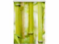 Lichtblick Klemmrollo ohne Bohren Bambus 120x150cm