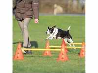 Trixie Dog Activity Agility Hindernisse Pilonen, Maße: ø 23 × 30 cm, 78 cm...