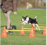 TRIXIE Agility-H&uuml;rde Pylonen-Hindernis-Set - orange/gelb - &oslash; 23 &times; 30...
