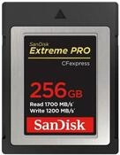 Sandisk USB-Flash-Laufwerk