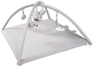 roba&reg; Spielbogen roba style, Krabbeldecke & Spielbogen mit 5 Elementen