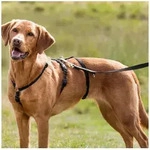 TRIXIE Hunde-Erziehungsgeschirr Panikgeschirr Stay - schwarz - 50&ndash;75 cm/20 mm