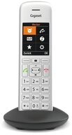 Gigaset Schnurloses Mobilteil