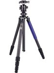 AOKA KG254C Carbon Stativ + BH33R Kugelkopf Objektiv