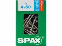 Spax International Spax Torx 4x60 TX20 Edelstahl 75 Stk. (4197000400607)