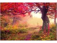Papermoon Fototapete Autumn Trees, glatt