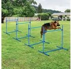 PawHut Agility-H&uuml;rde Inkl. Tragetasche f&uuml;r einfache Aufbewahrung, Kunststoff,...