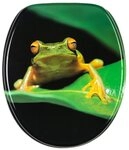 Sanilo WC-Sitz Frosch-Gr&uuml;n, universell, leichte Montage, hochwertig & modern