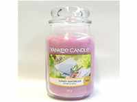 Yankee Candle Sunny Daydream Housewarmer 623g