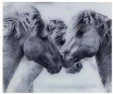WENKO Spritzschutz Glasr&uuml;ckwand Horses Spritzschutz Herd Sp&uuml;le Wandblende,